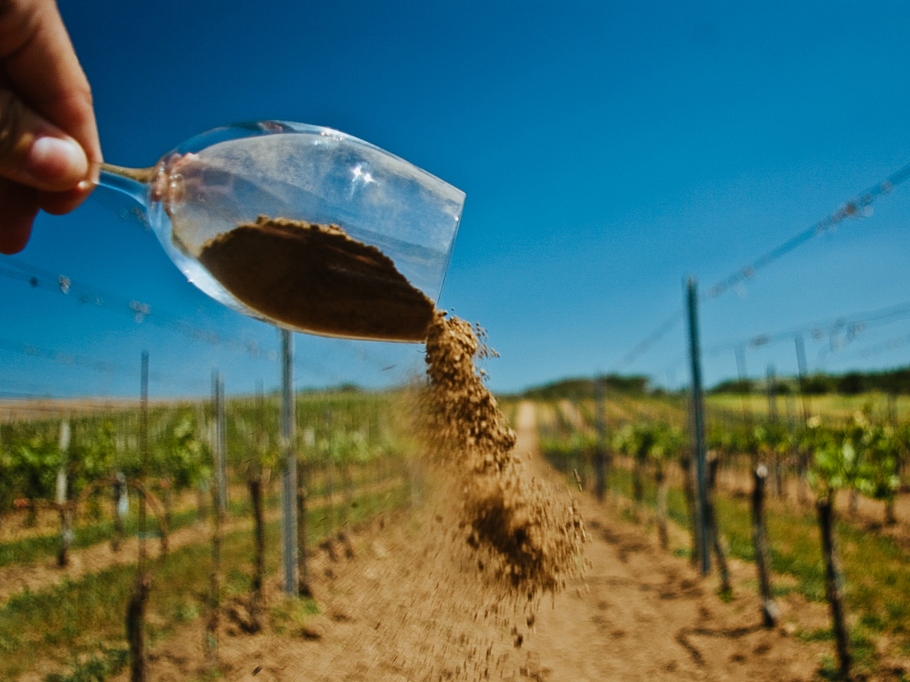 Weingut Čapka
